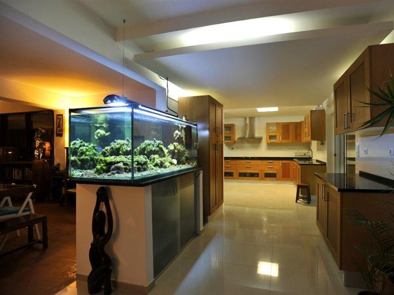 Carcavelos Surf House Екстериор снимка